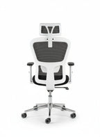 Milano Chair – White Frame, Nickel Base