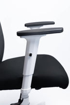 Milano Chair – White Frame, Nickel Base