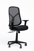 Venus Chair – Black Frame