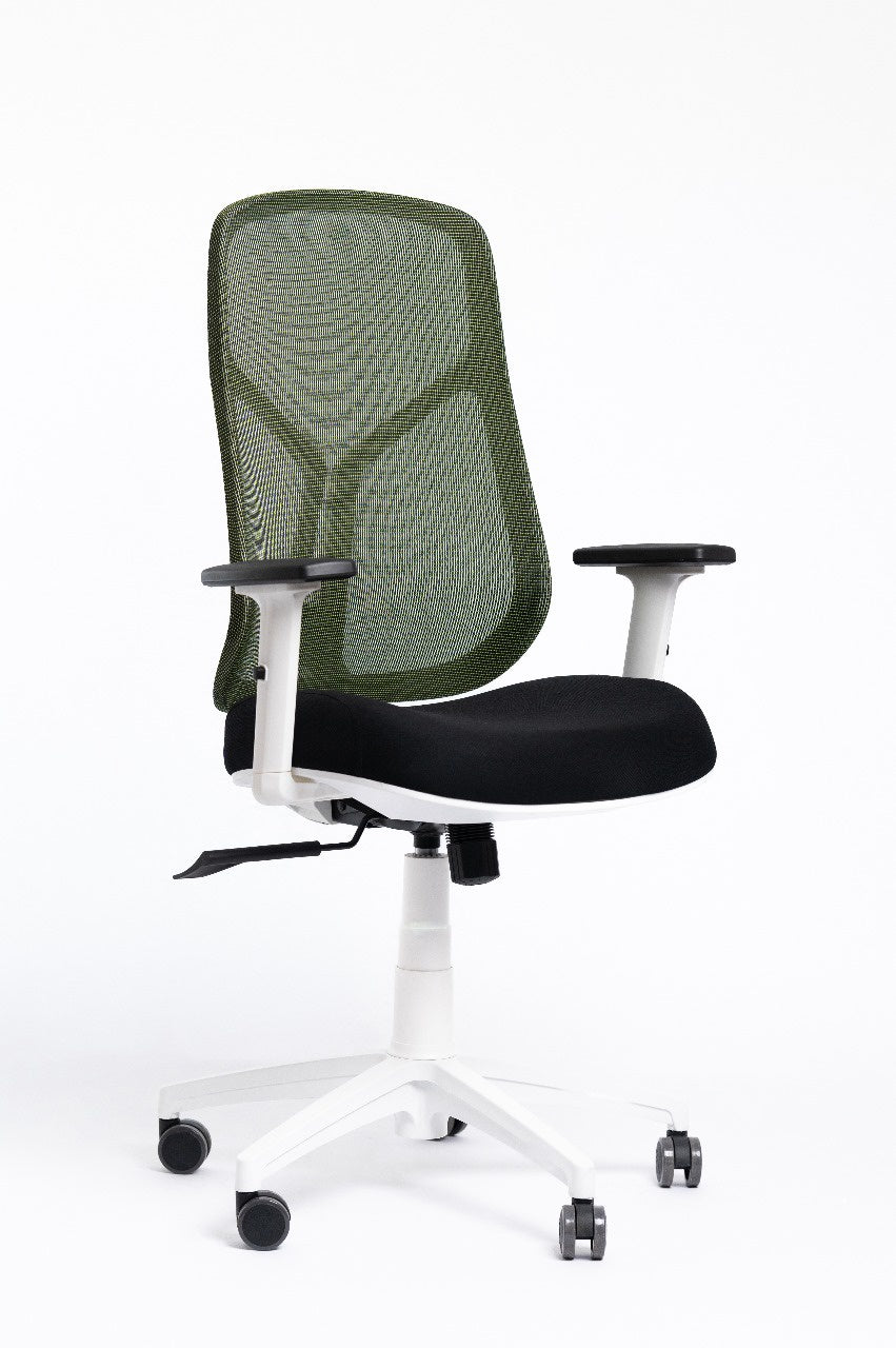 Venus Chair -  White Frame