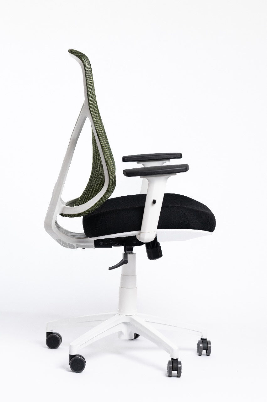 Venus Chair -  White Frame