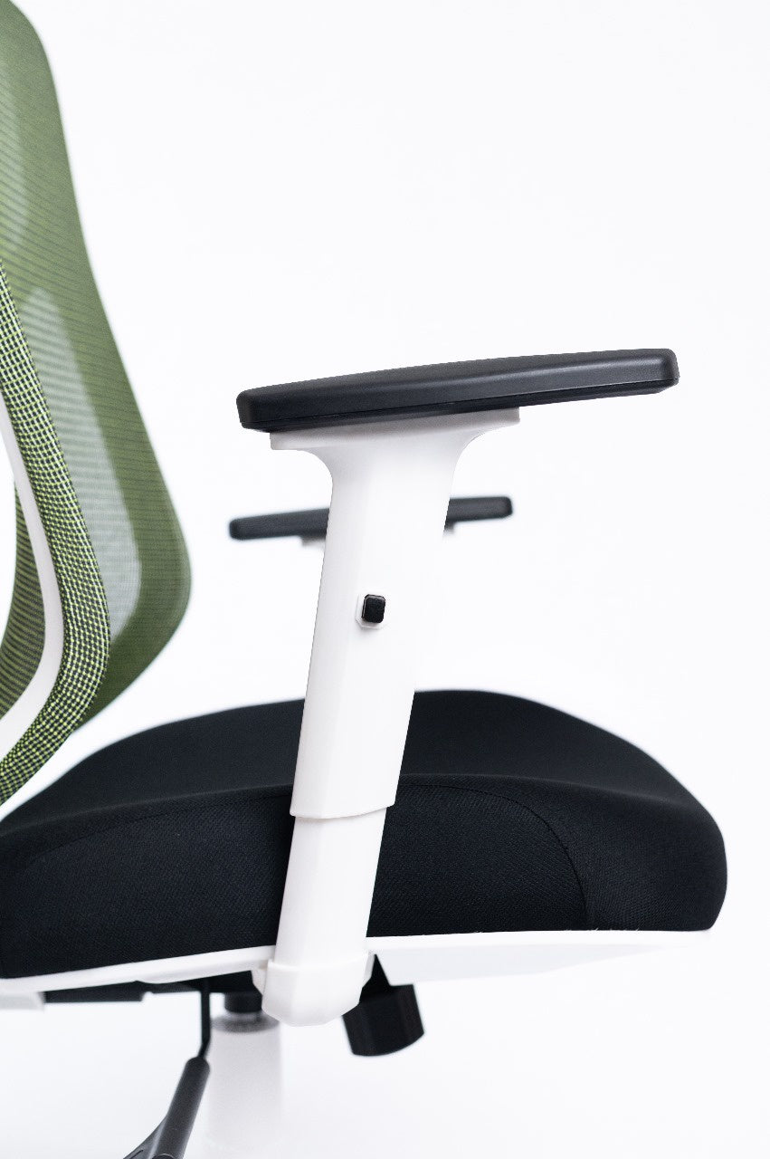 Venus Chair -  White Frame