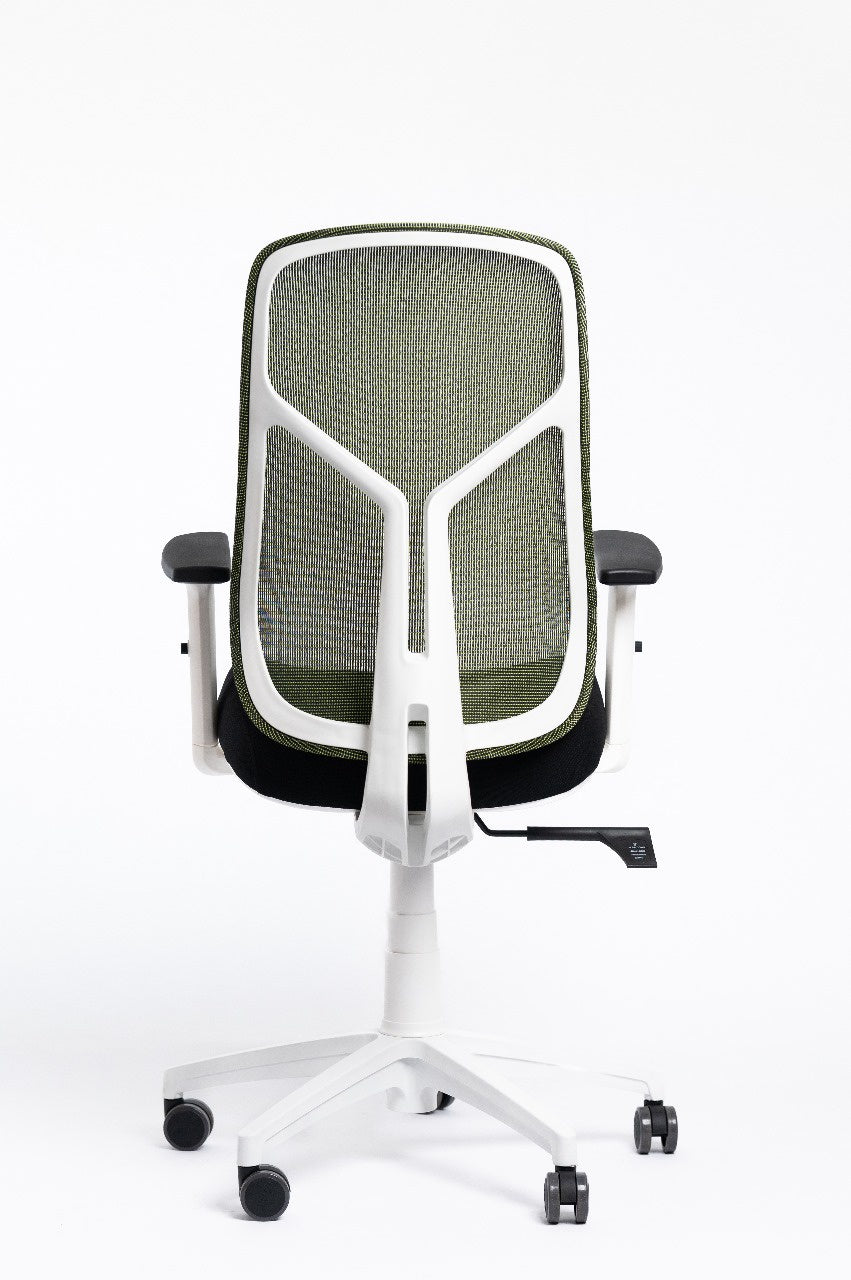 Venus Chair -  White Frame