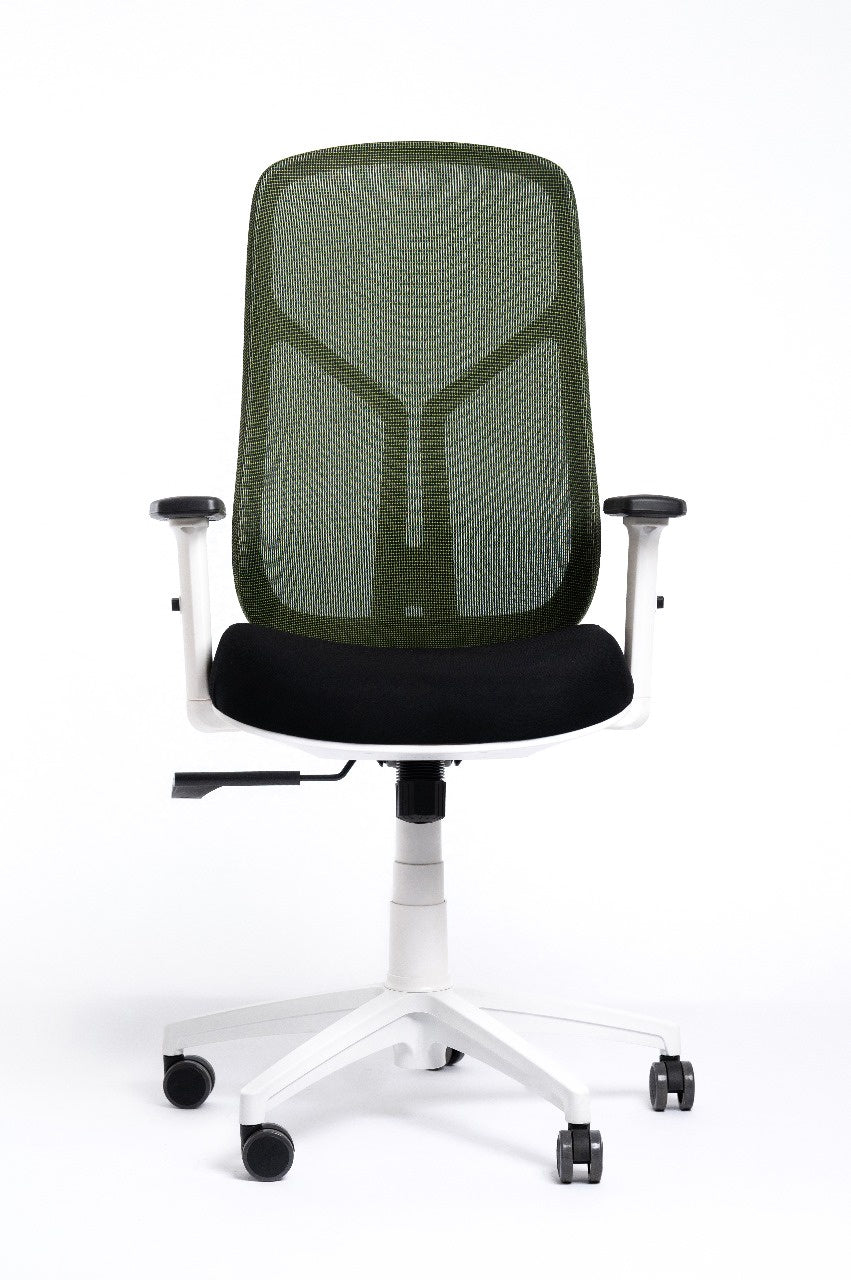 Venus Chair -  White Frame