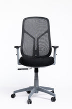 Venus Chair – Gray Frame