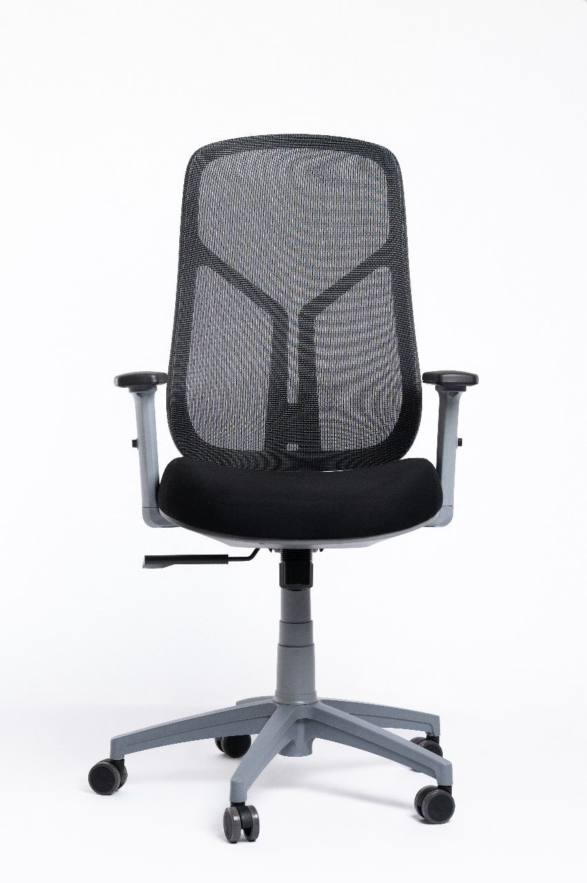 Venus Chair – Gray Frame