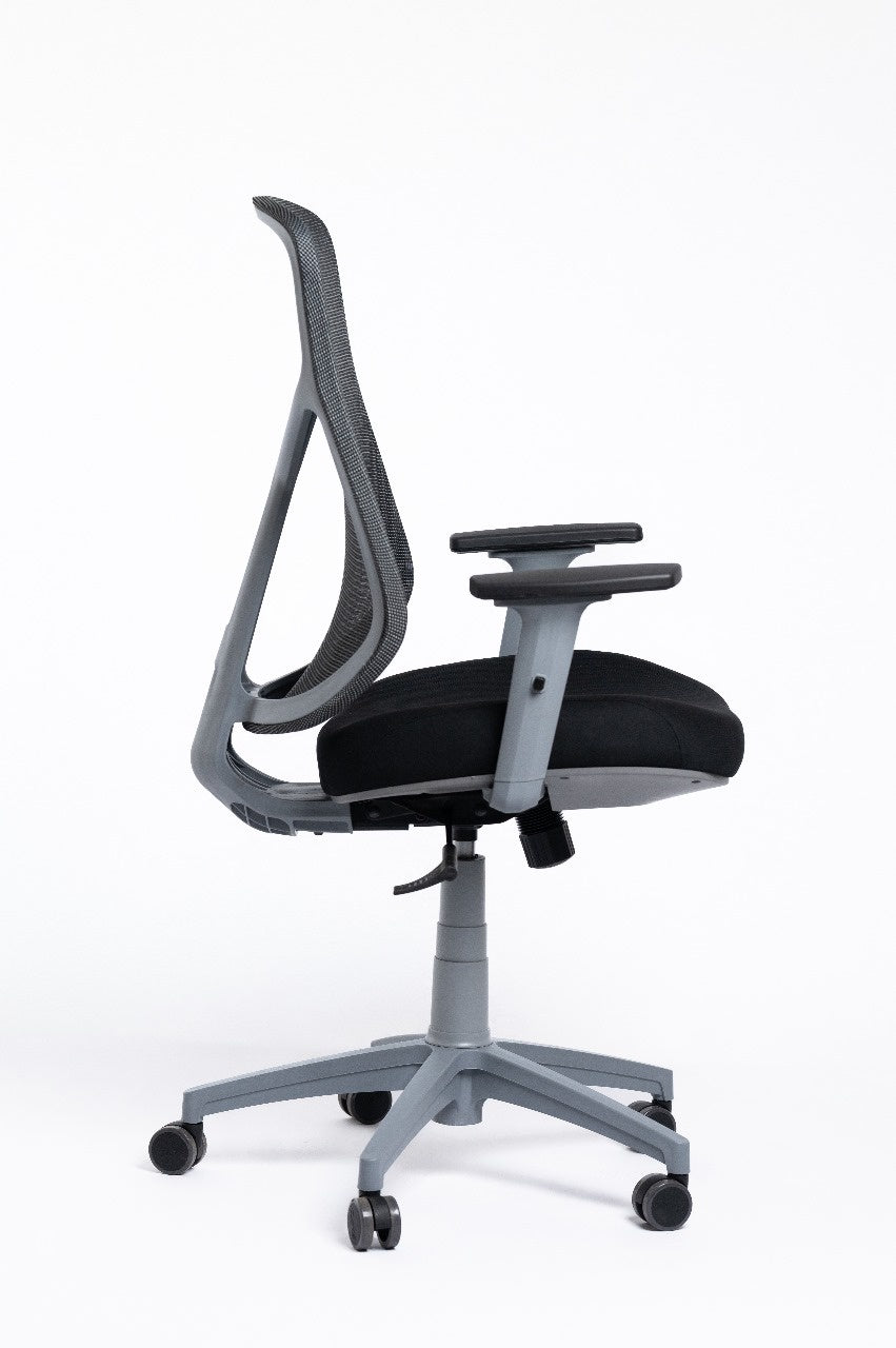 Venus Chair – Gray Frame