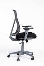 Venus Chair – Gray Frame