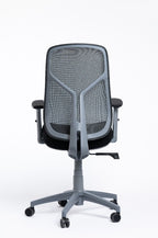 Venus Chair – Gray Frame
