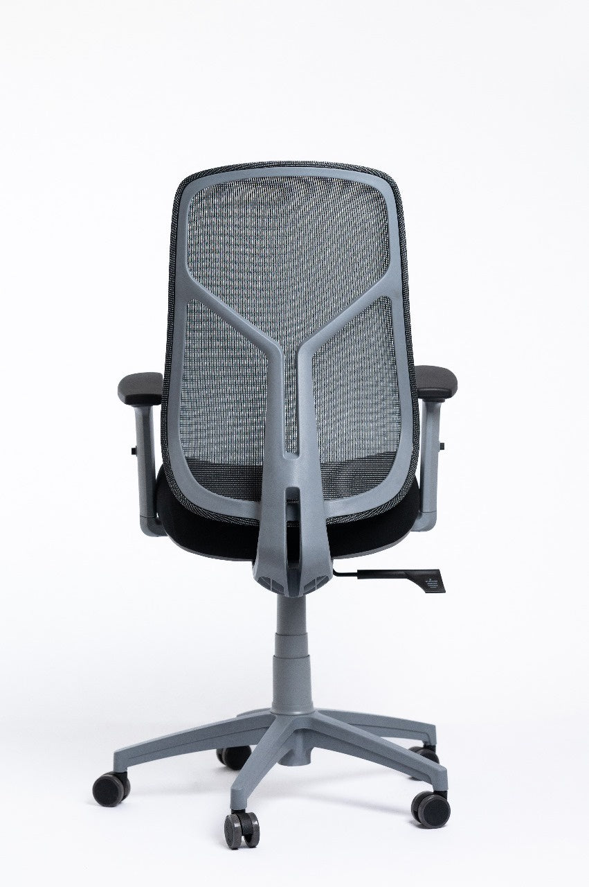 Venus Chair – Gray Frame