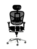 Boulevard Premium Chair– Latex Foam Seat