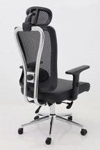Regalis Chair- latex foam seat