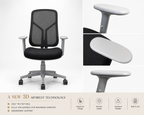 Venus Chair – Gray Frame
