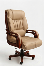 German leather Congress chair