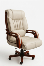 German leather Congress chair