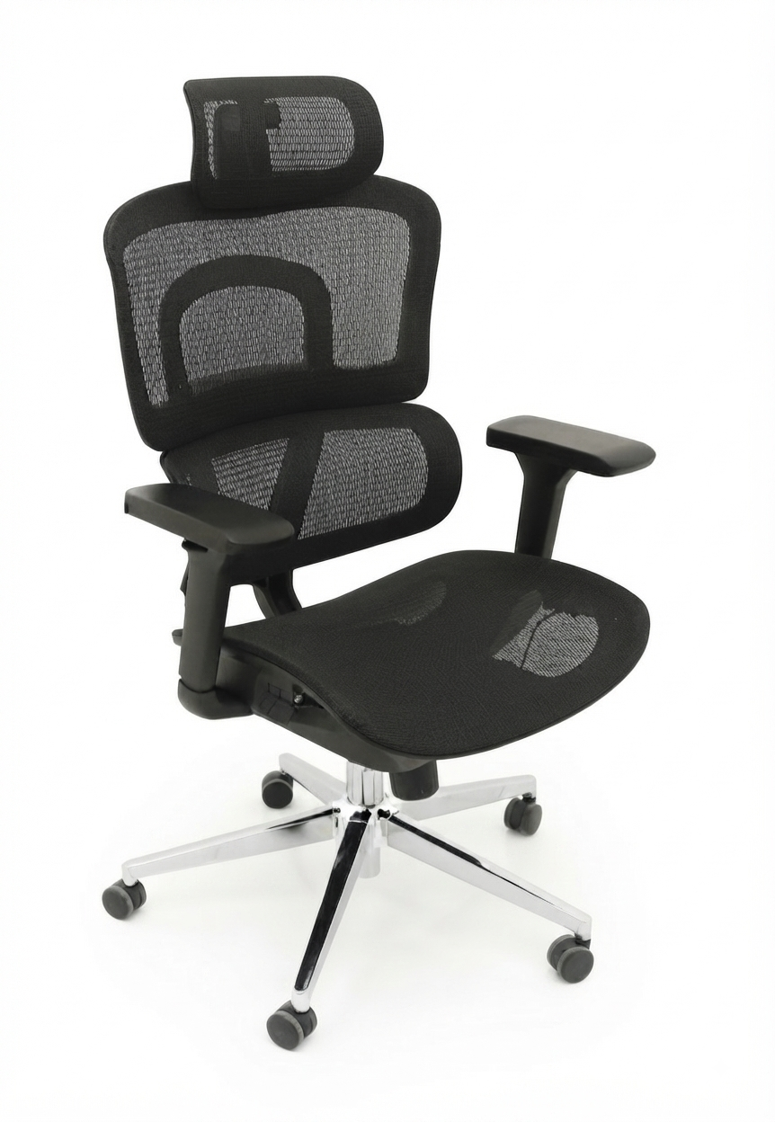 Ergonomic Chair –Black Frame