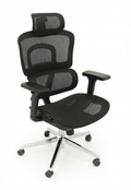 Ergonomic Chair –Black Frame