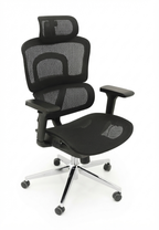 Ergonomic Chair –Black Frame