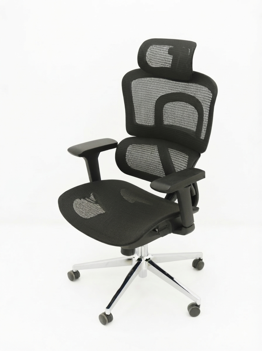 Ergonomic Chair –Black Frame
