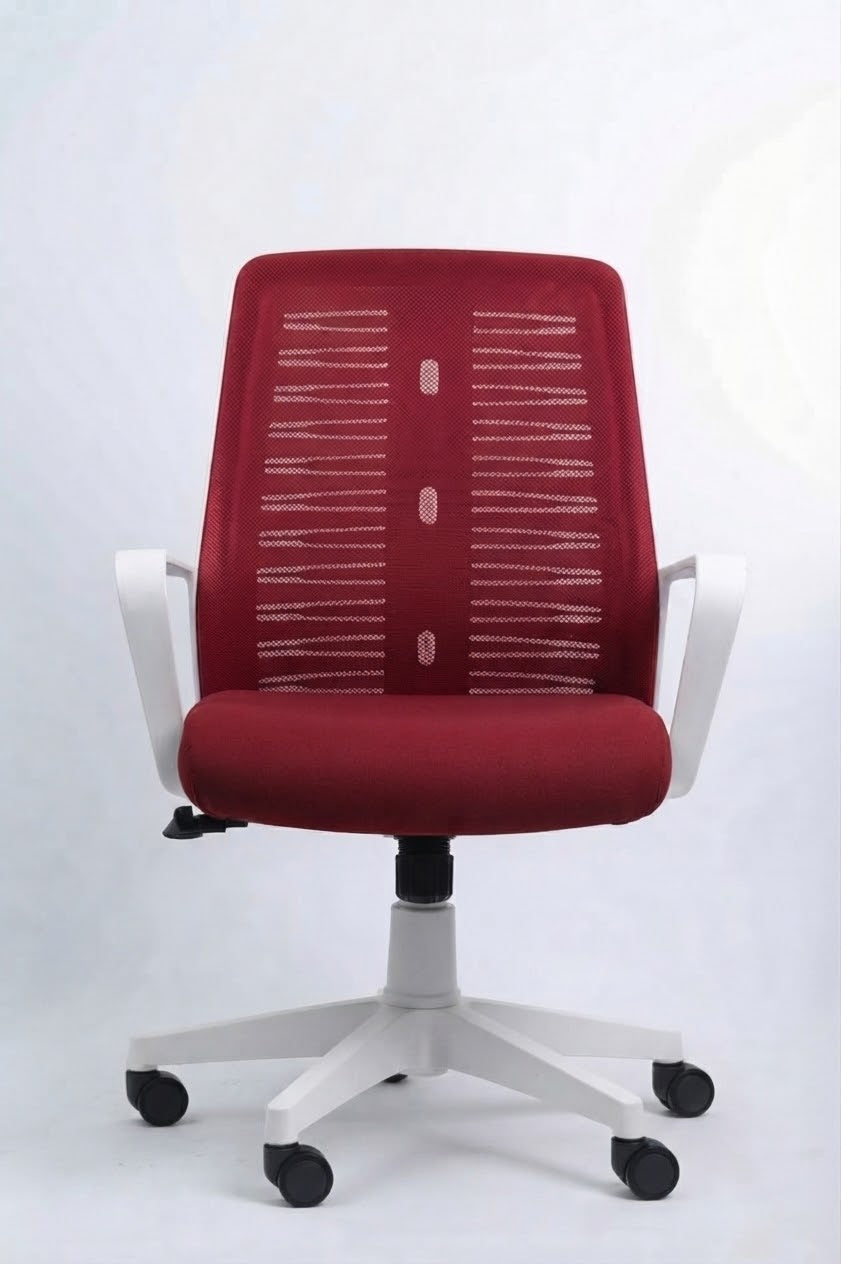 Roma chair white Frame