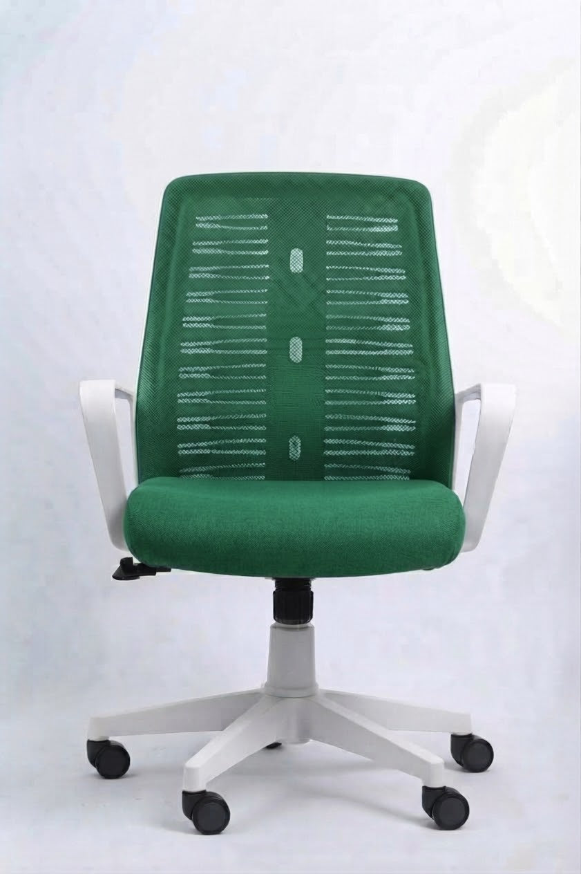 Roma chair white Frame