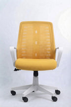 Roma chair white Frame