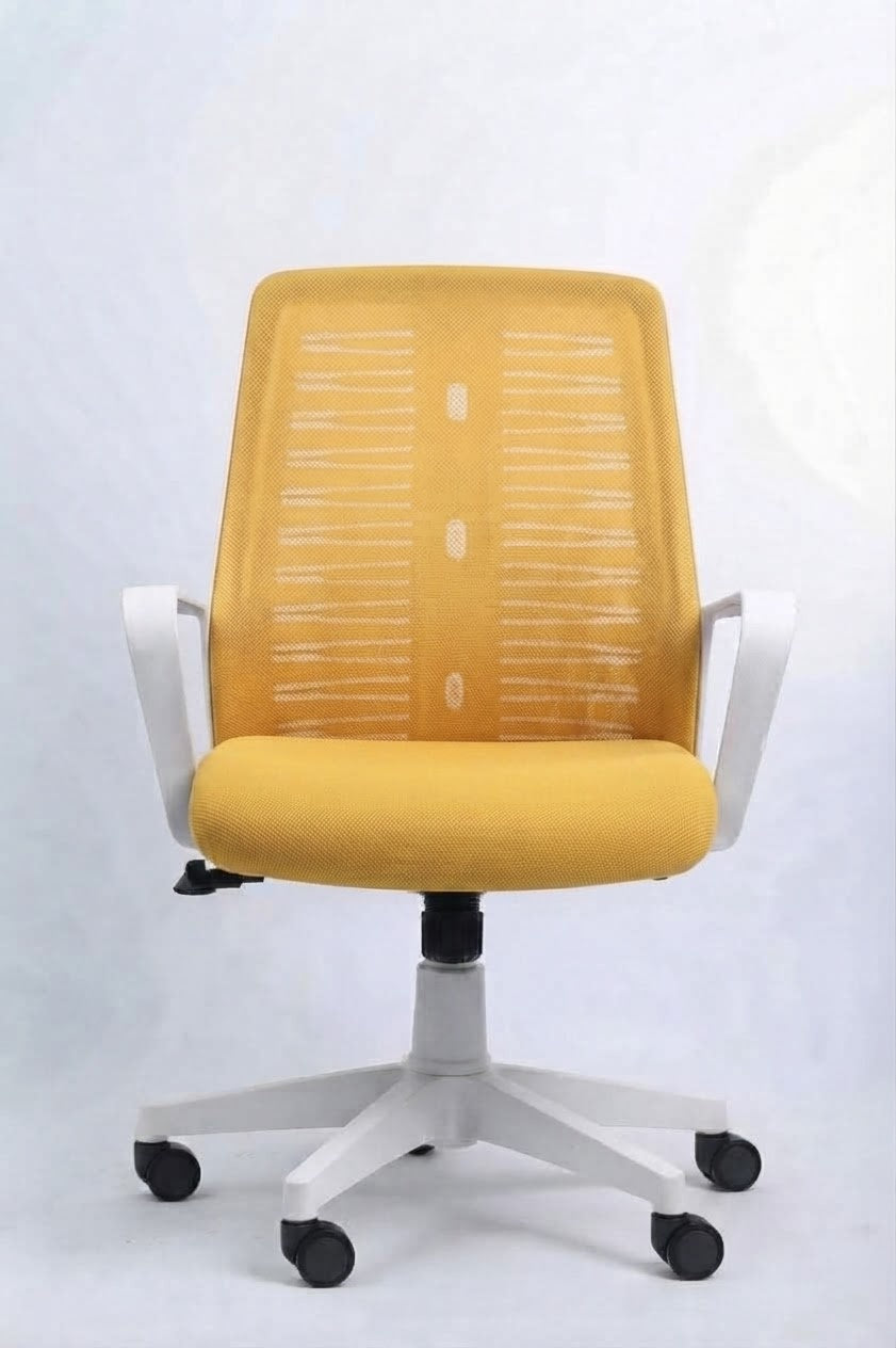 Roma chair white Frame